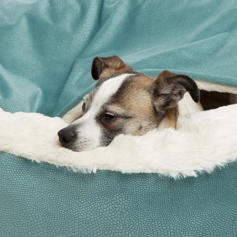 A dog resting on a Orthopedic Bed For Dogs and Cats.
