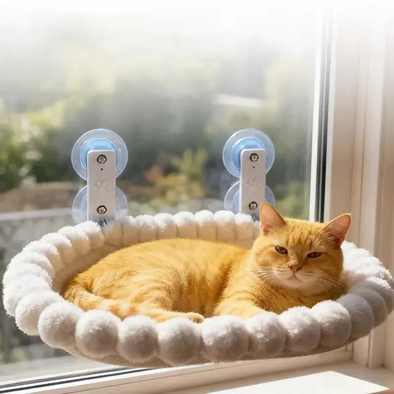 Image of a cat on the Cat Window Hammock.