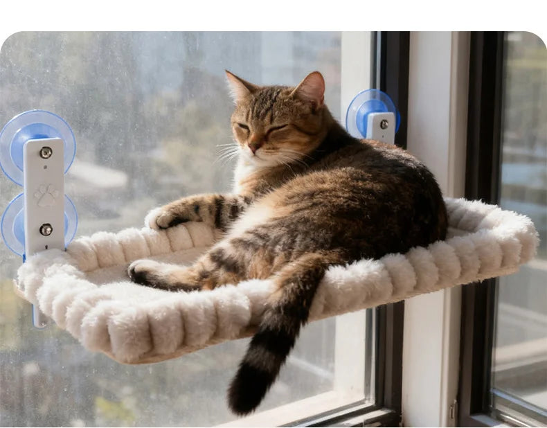 Image of a cat on the Cat Window Hammock.