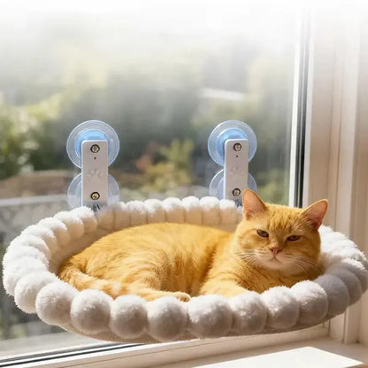 Image of a cat on the Cat Window Hammock.