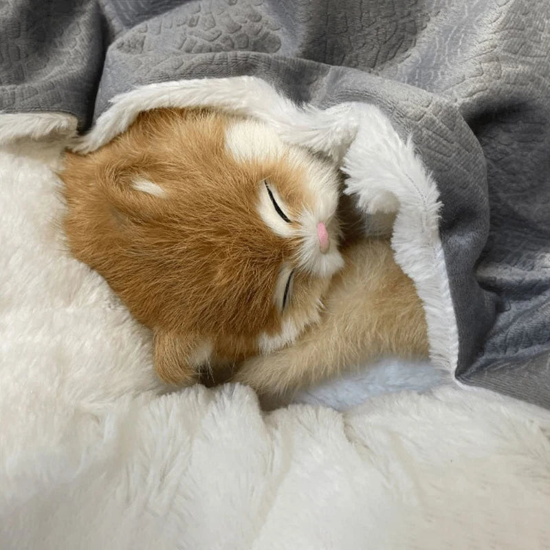Image of the Orthopedic Bed For Dogs and Cats.