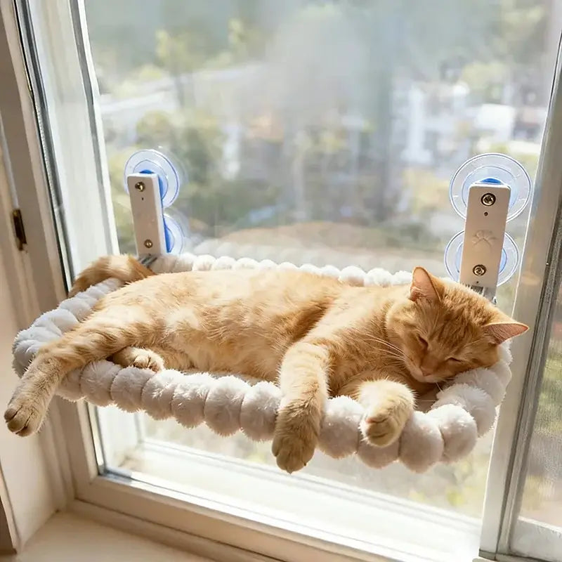 Image of a cat on the Cat Window Hammock.