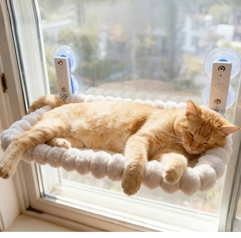 Image of a cat on the Cat Window Hammock.