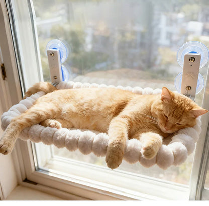 Image of a cat on the Cat Window Hammock.