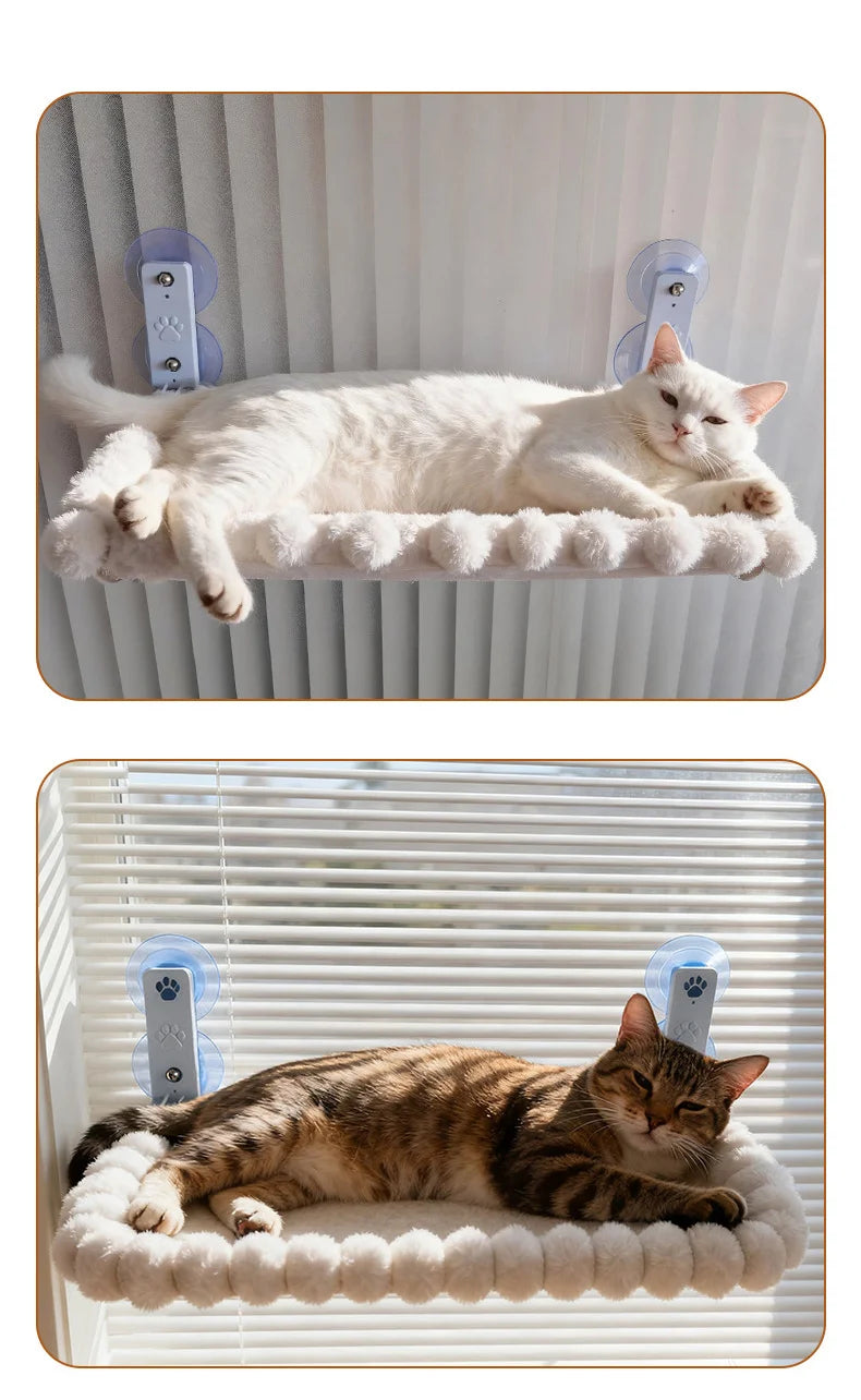 Image of cats on the Cat Window Hammock.