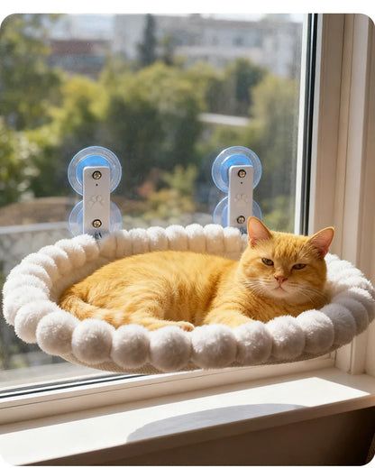 Image of a cat on the Cat Window Hammock.